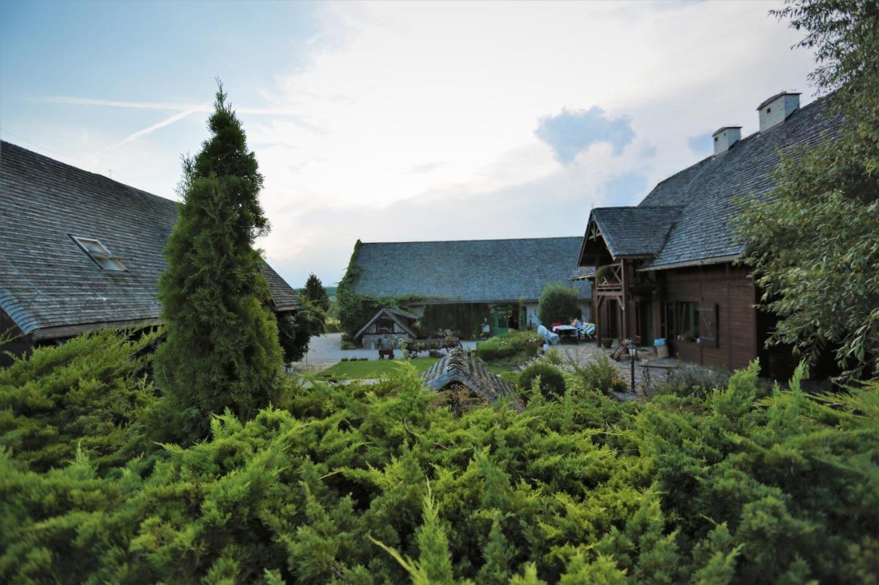 Konesera * Trzcin